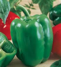 PEPERONE QUADRATO CALIFORNIA WONDER GR.10